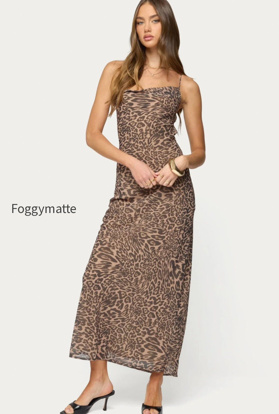 s22704_leopard