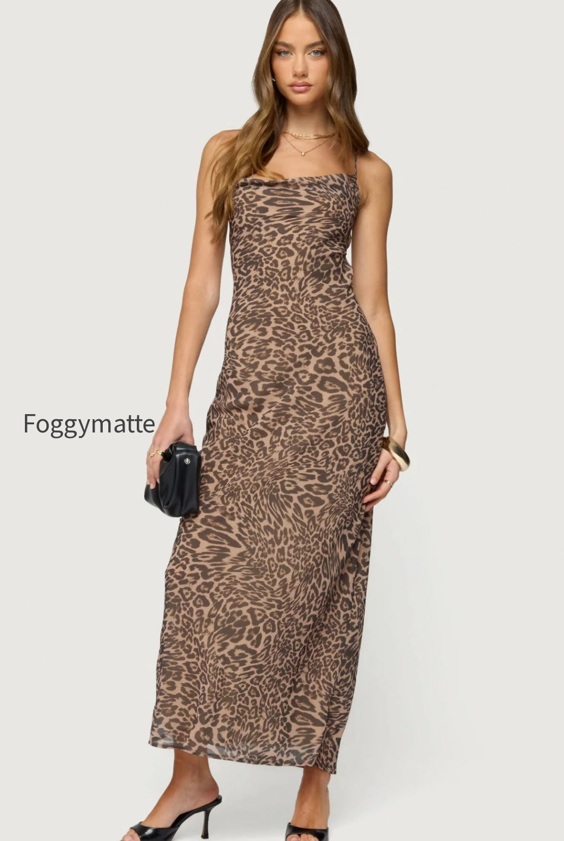 s22704_leopard